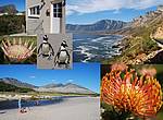 Holiday home Dreams, South Africa, Western Cape, Pringle Bay
