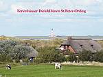 Holiday home ReetdachFerienhaus Strandperle, Germany, Sleswick-Holsatia, St. Peter-Ording-North Sea, St.Peter-Ording